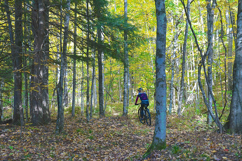Betsie River Pathway